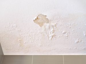 Eating Drywall Side Effects - Side Effects Guru