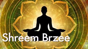 Understanding the Side Effects of Shreem Brzee