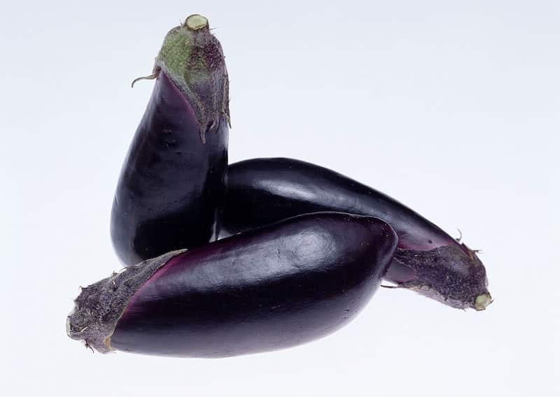 Eating Too Much Eggplant Side Effects