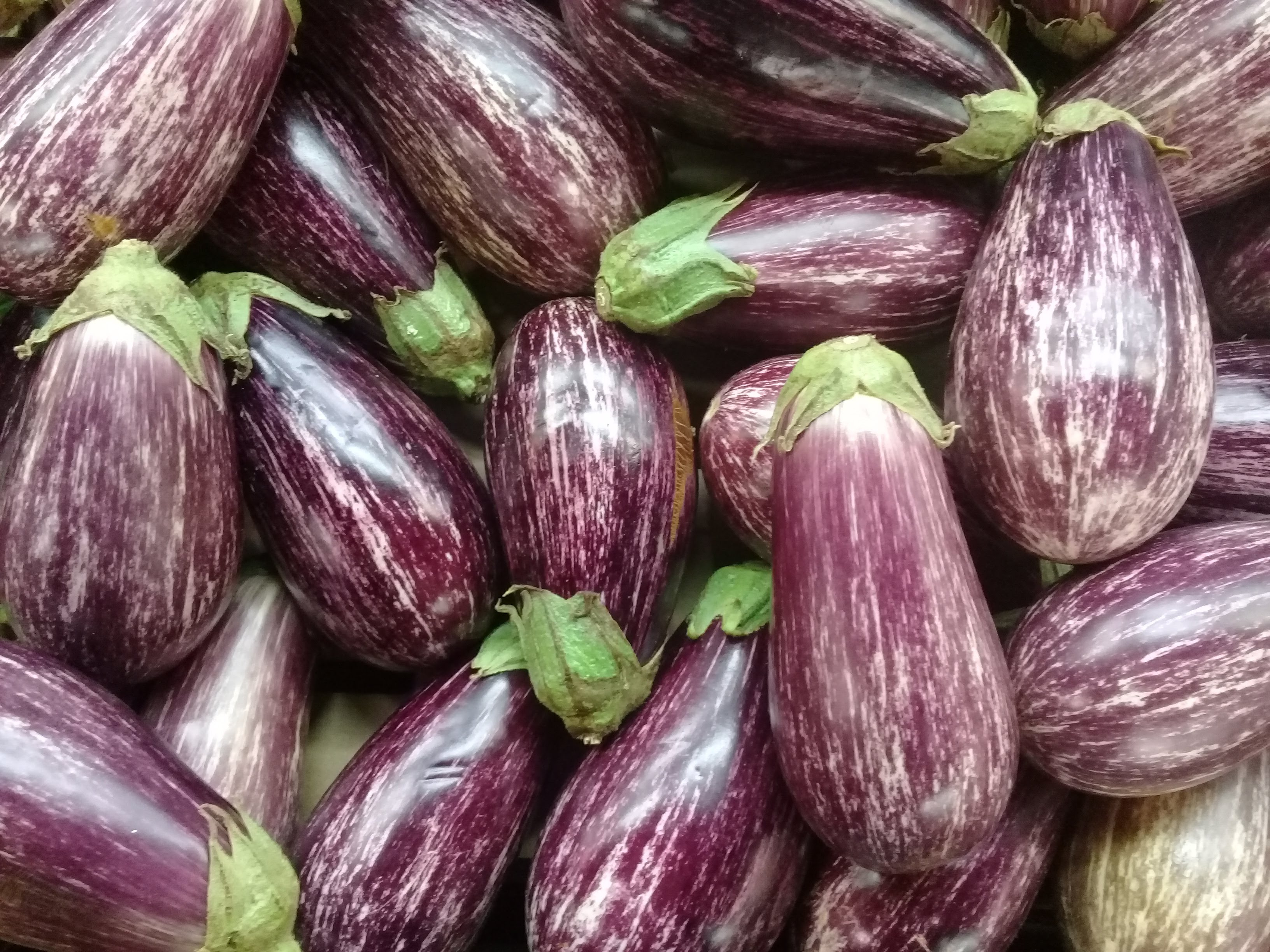 Major Side Effects of Consuming Excessive Eggplant