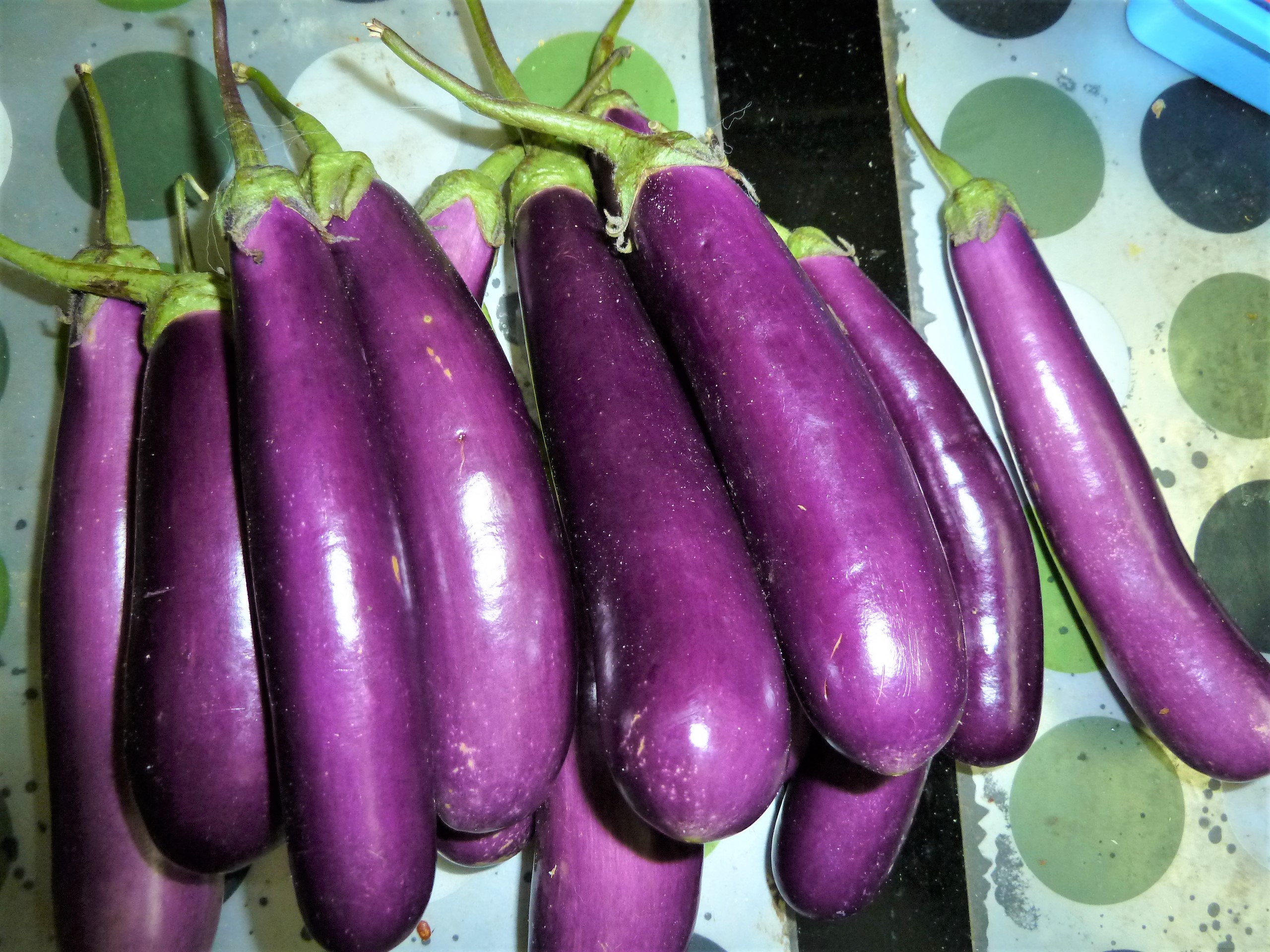 Minor Side Effects of Eating Too Much Eggplant