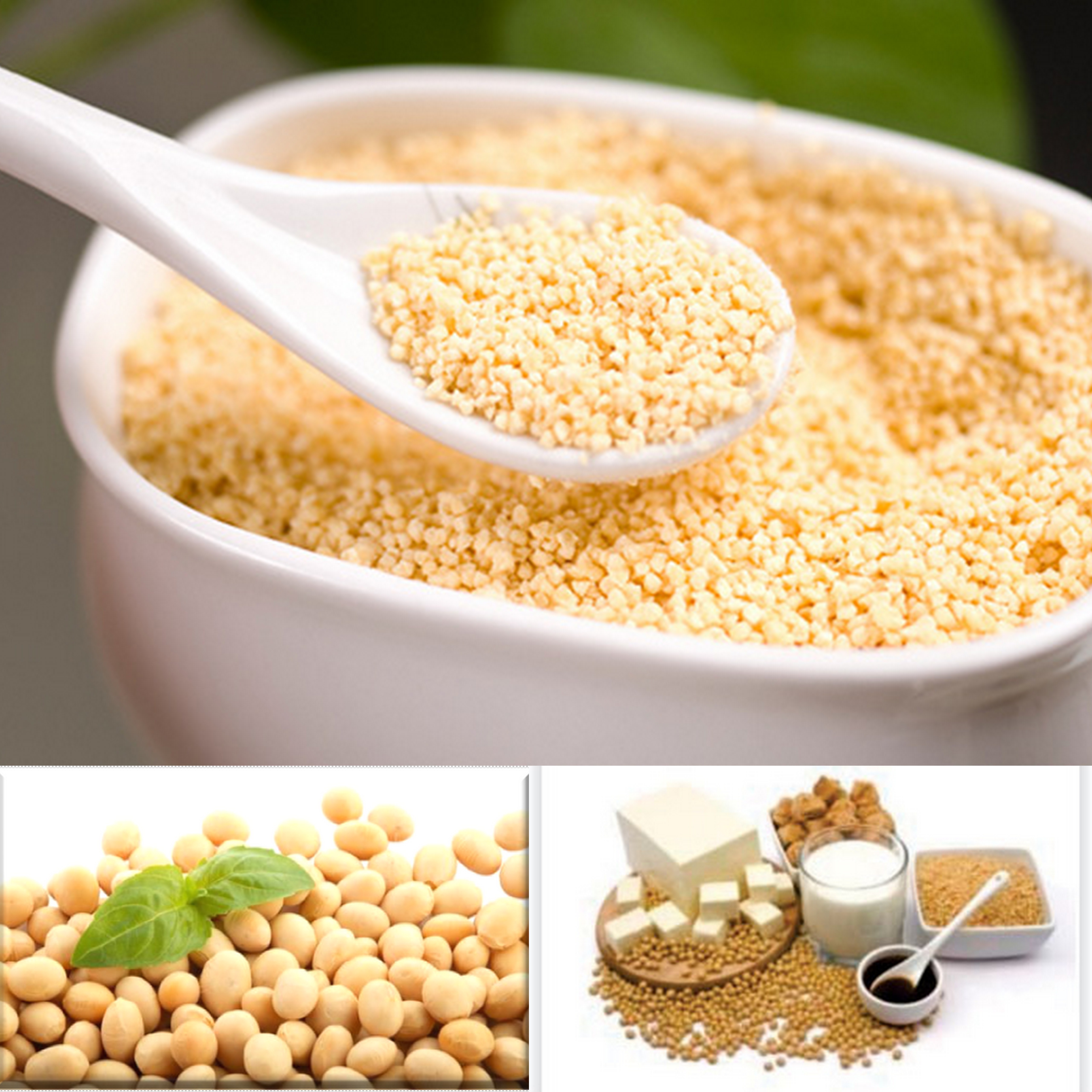 Major Side Effects of Soy Lecithin