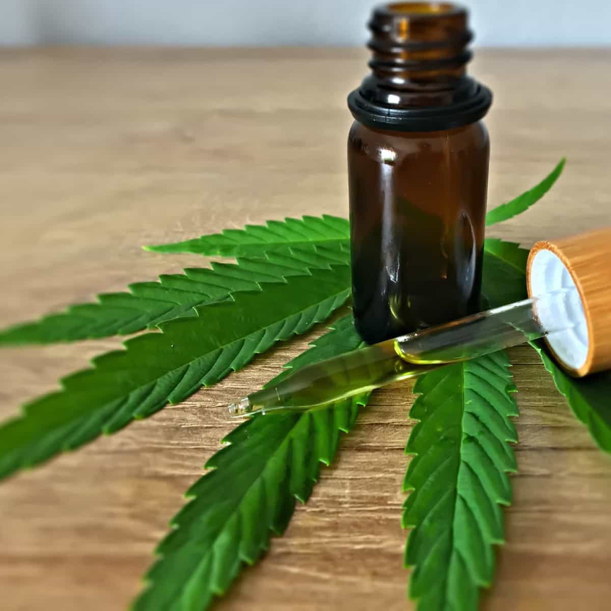 - Potential Major Side Effects of CBD Oil on Liver