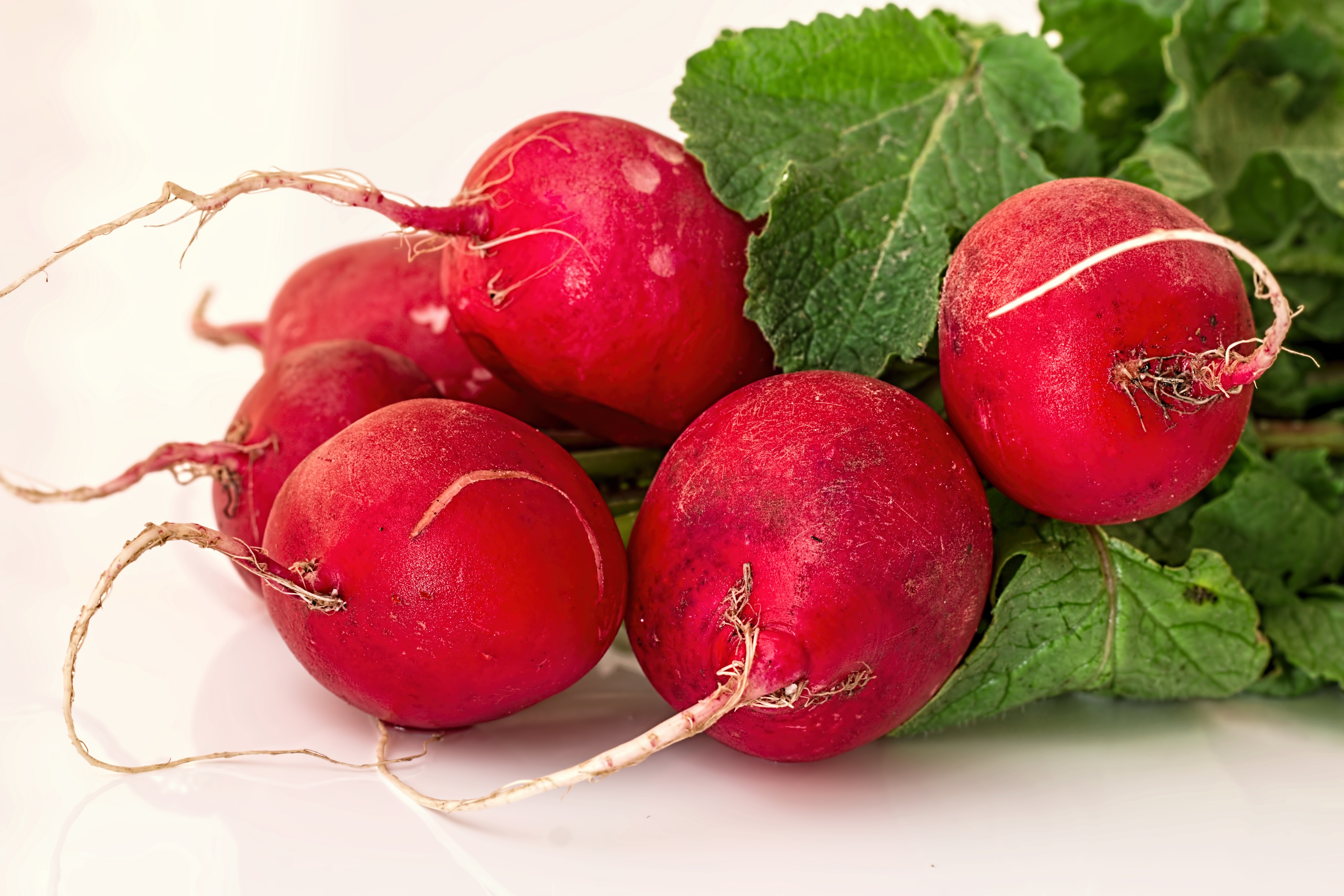 Major side effects of beet⁢ detox