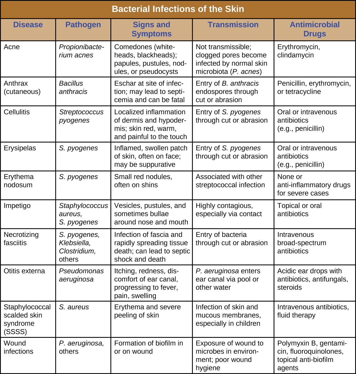 Steroids And Antibiotics Side Effects