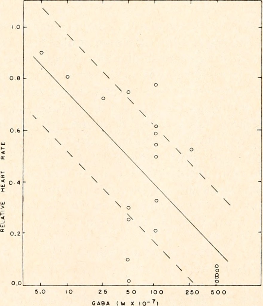 Gaba Side Effects Heart Rate