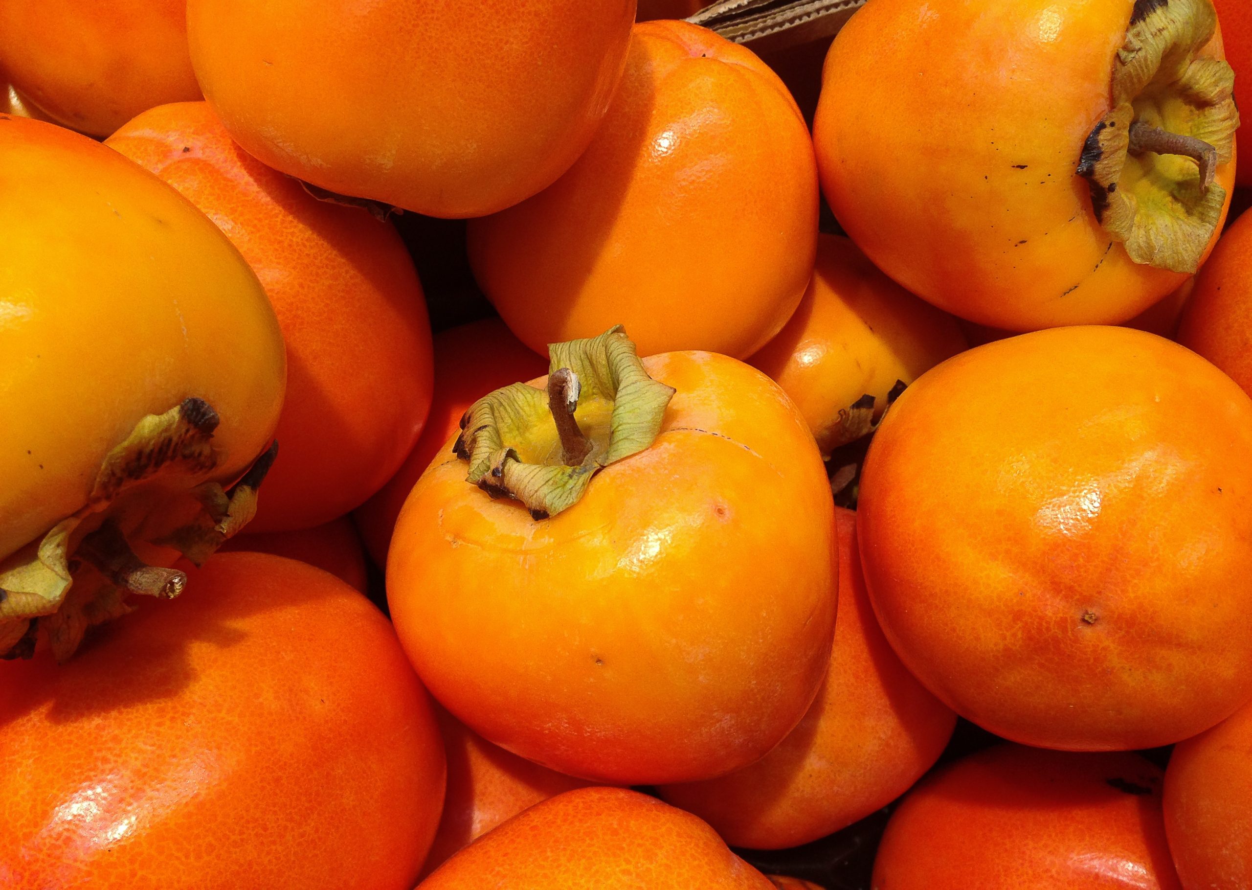 Persimmon Leaves Side Effects