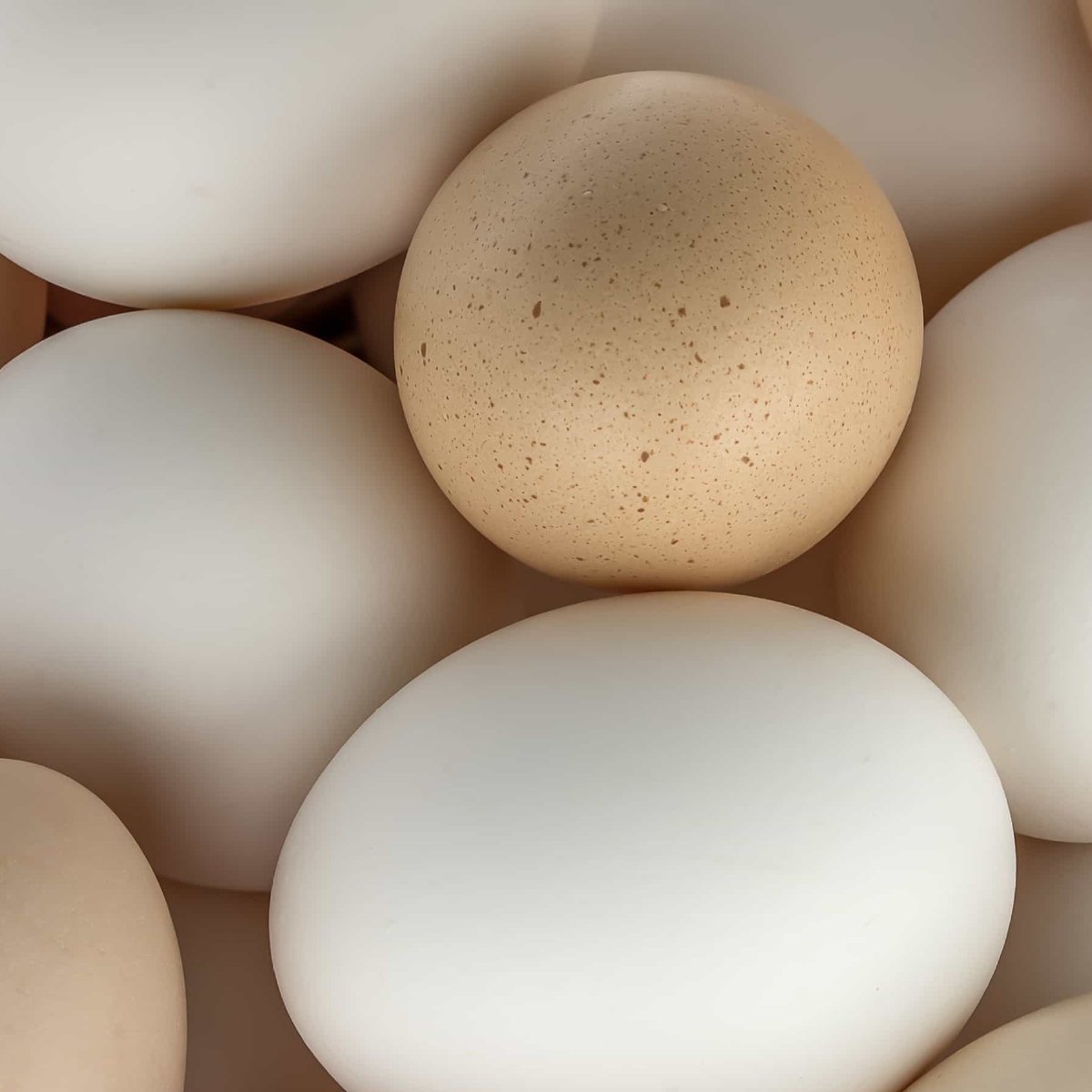 Major Side‌ Effects of ​Eggs on Skin