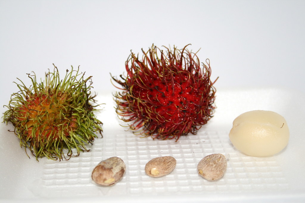 - Minor side effects of consuming rambutan fruit