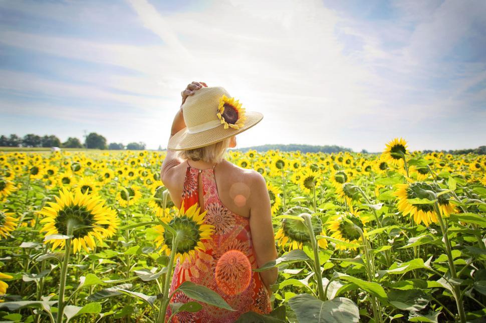 Sunflower Seeds Side Effects for Female