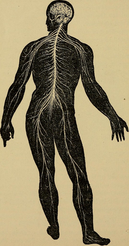 Over Masturabation Side Effects On Nerves