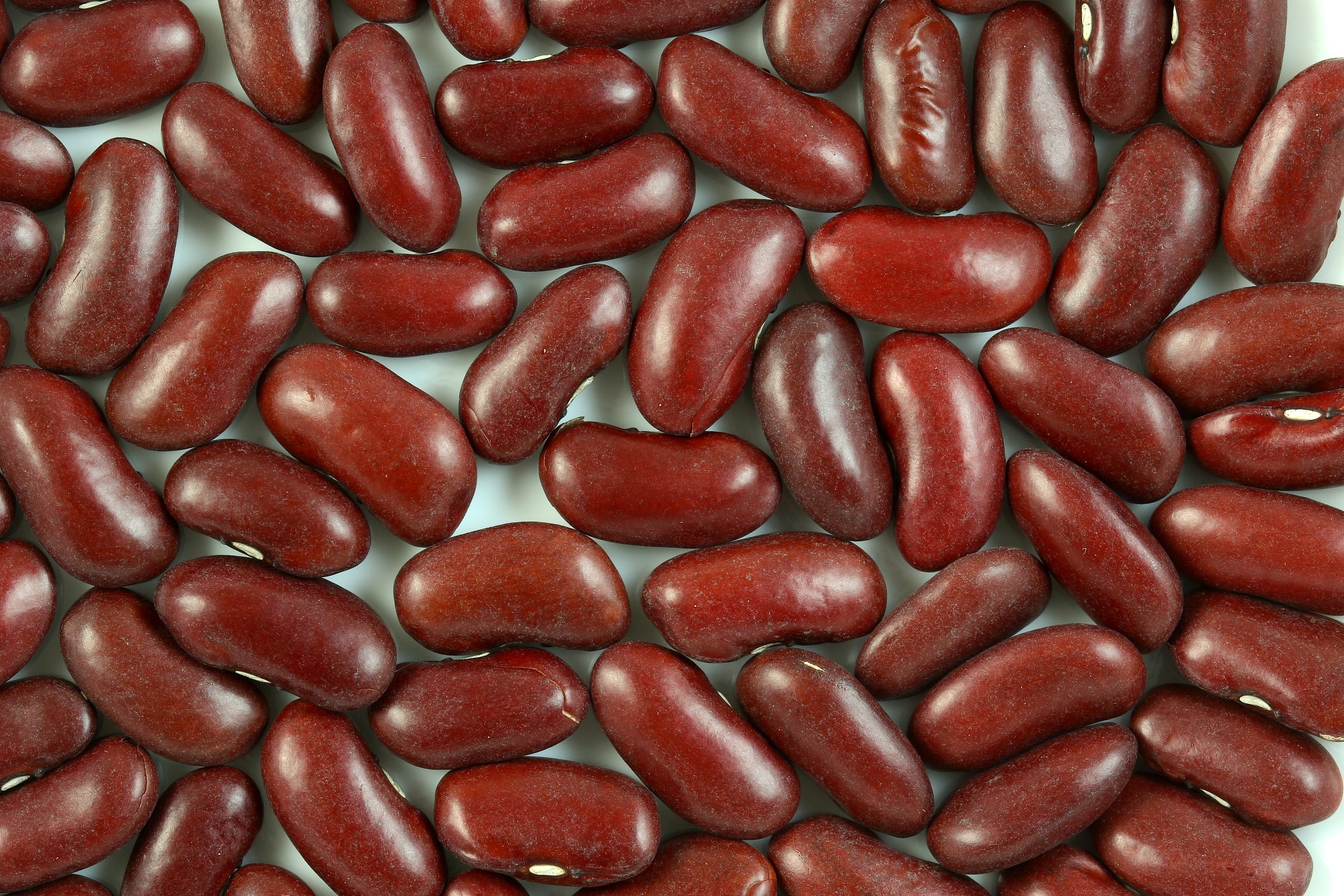 Kidney Beans Side Effects