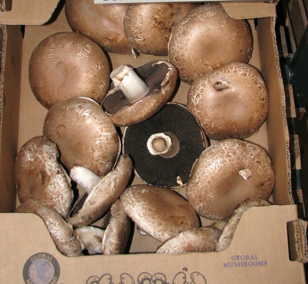 Portobello Mushrooms Negative Side Effects