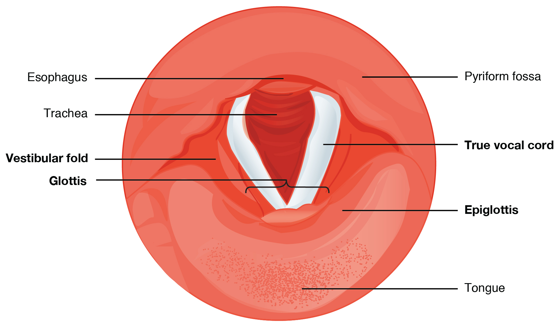 Major Side Effects of ⁣Increasing​ Zoloft Dose