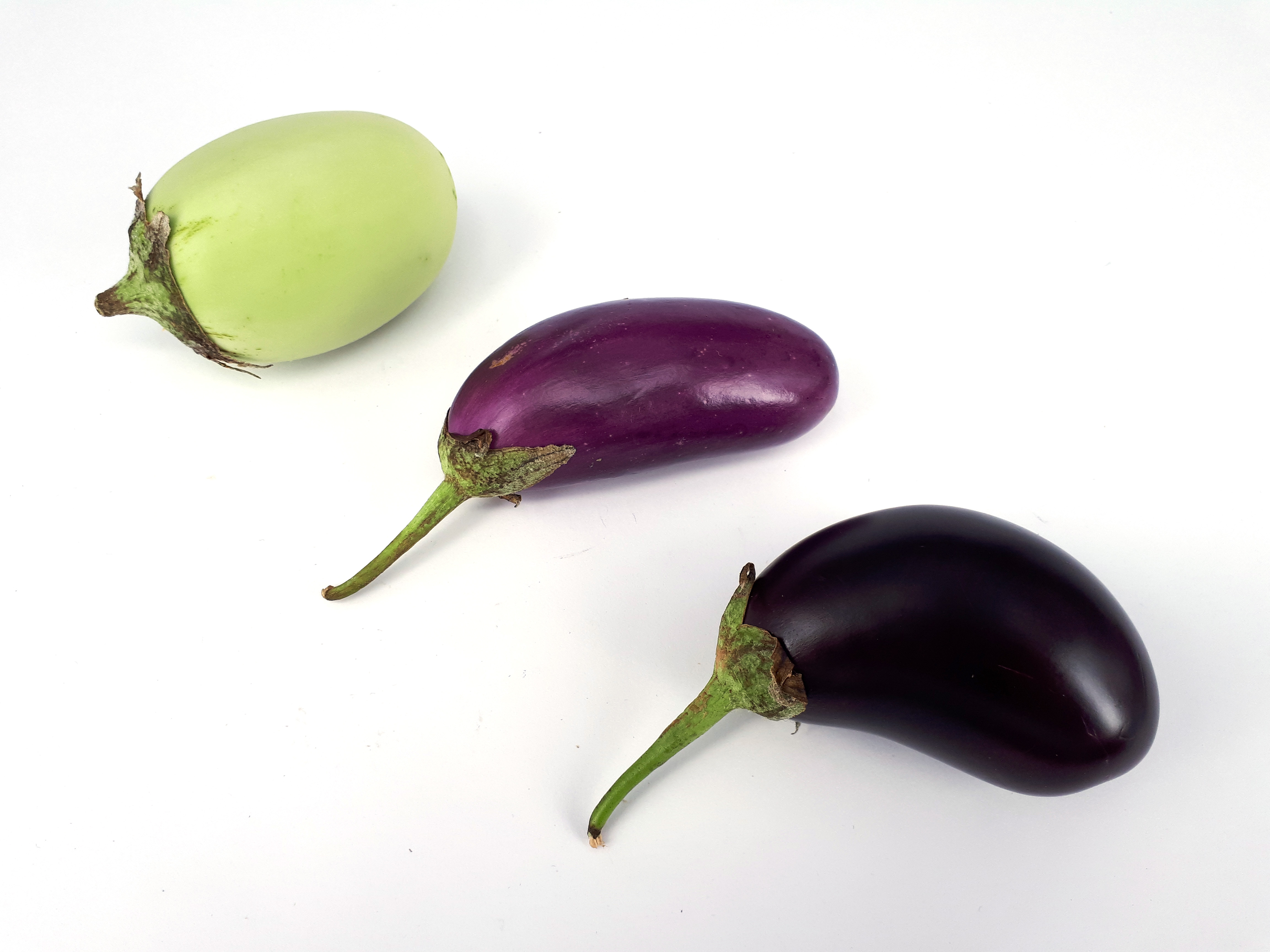 -‍ Major ‍side effects⁣ that can occur from eating eggplant