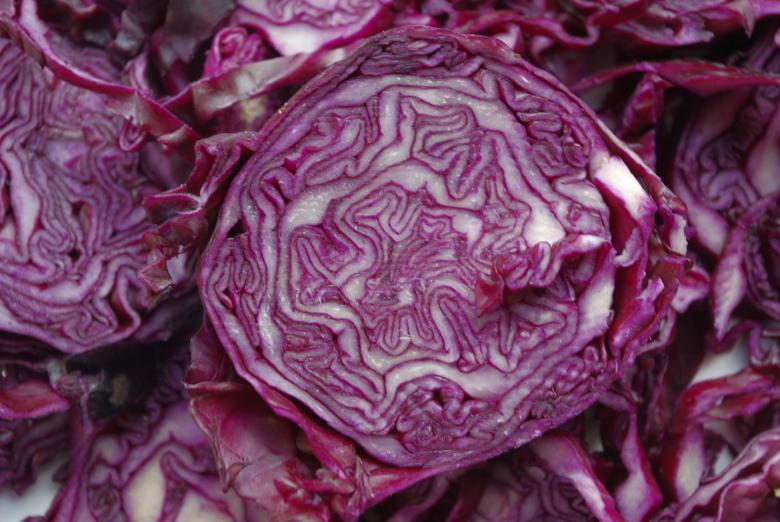 Cabbage Side Effects For Thyroid