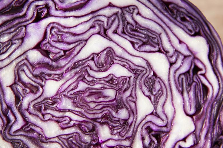 Red Cabbage Side Effects