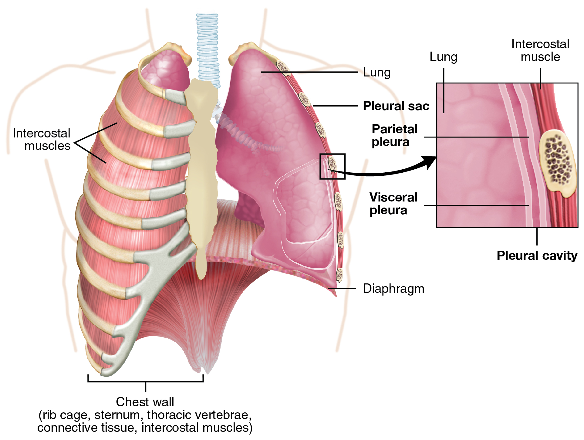 - Minor side effects of increasing Zoloft from 50 to 75