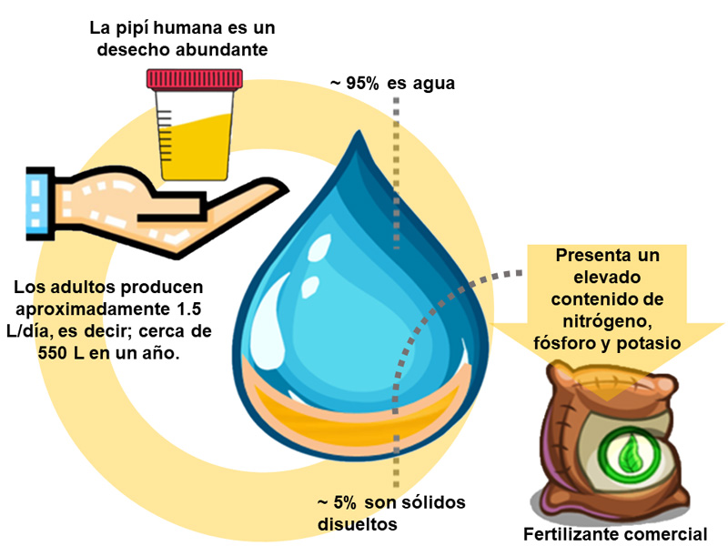 Effective ⁤Remedies for‌ Minimizing⁢ Side Effects ⁣of Inhaling Human ⁤Urine