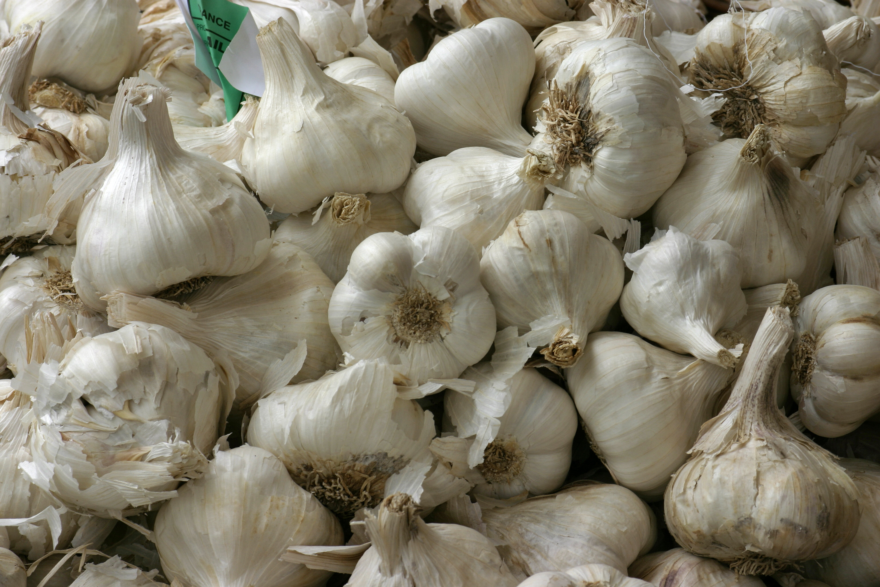 -‍ Major side effects of garlic on hair