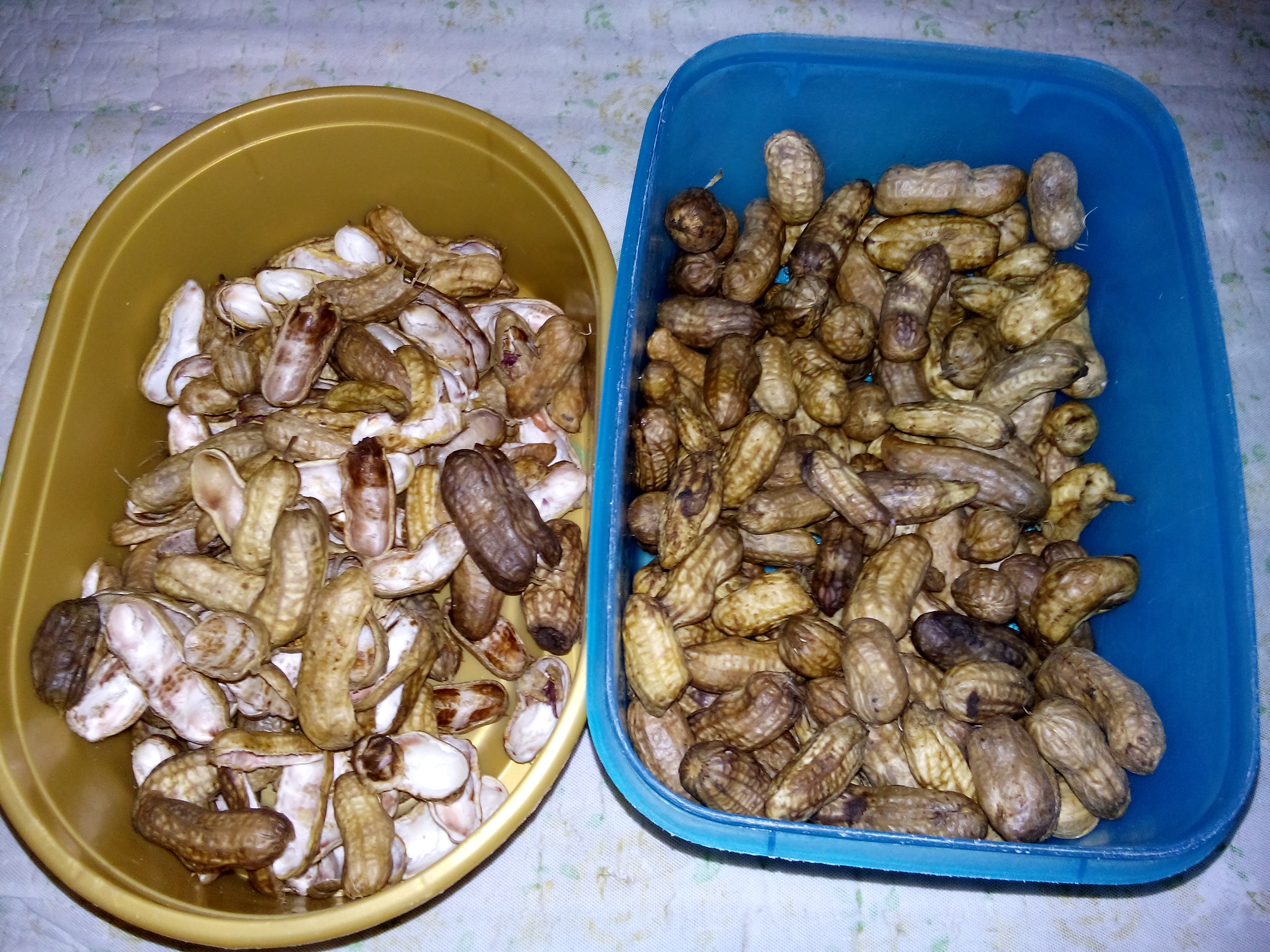 - Major side effects of ​boiled peanuts consumption