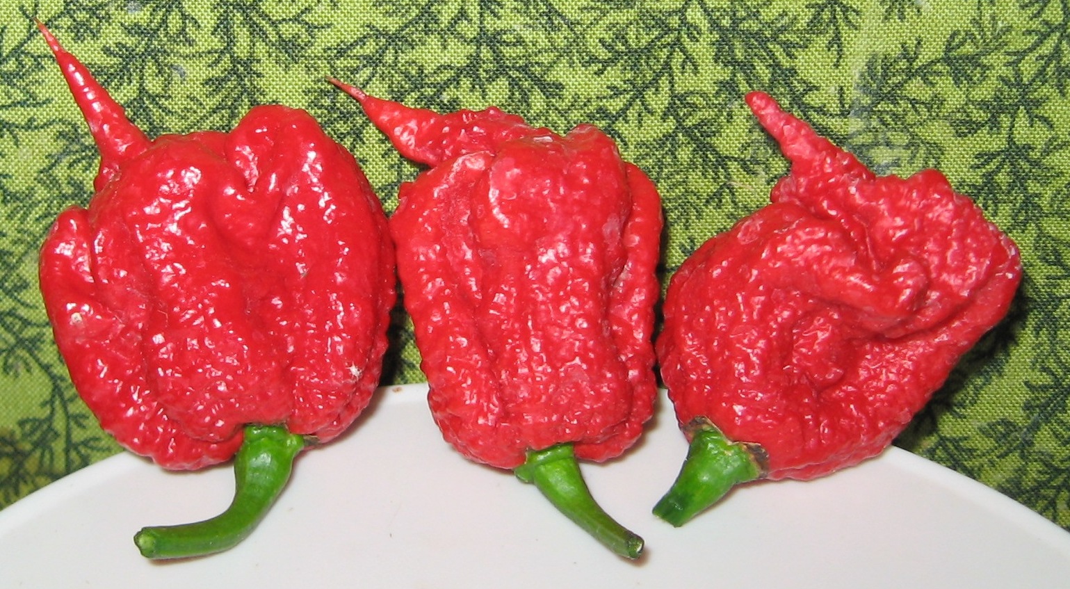 -⁢ Major side effects to‌ be aware of when consuming Carolina ⁢Reaper