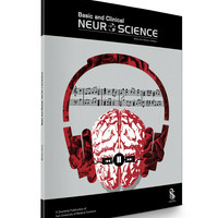 - Minor Side Effects of Headphones on the Brain